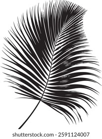 A stunning single palm leaf silhouette, symbolizing tropical beauty and serenity. This elegant design brings a refreshing, nature-inspired vibe.