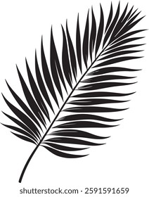 A stunning single palm leaf silhouette, symbolizing tropical beauty and serenity. This elegant design brings a refreshing, nature-inspired vibe.