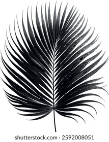 A stunning single palm leaf silhouette, symbolizing tropical beauty and serenity. This elegant design brings a refreshing, nature-inspired vibe.