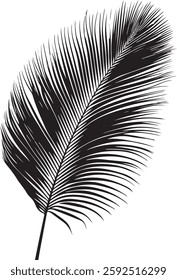 A stunning single palm leaf silhouette, symbolizing tropical beauty and serenity. This elegant design brings a refreshing, nature-inspired vibe.