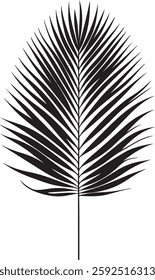 A stunning single palm leaf silhouette, symbolizing tropical beauty and serenity. This elegant design brings a refreshing, nature-inspired vibe.