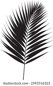 A stunning single palm leaf silhouette, symbolizing tropical beauty and serenity. This elegant design brings a refreshing, nature-inspired vibe.