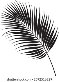 A stunning single palm leaf silhouette, symbolizing tropical beauty and serenity. This elegant design brings a refreshing, nature-inspired vibe.