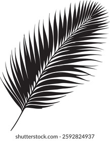 A stunning single palm leaf silhouette, symbolizing tropical beauty and serenity. This elegant design brings a refreshing, nature-inspired vibe.