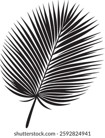 A stunning single palm leaf silhouette, symbolizing tropical beauty and serenity. This elegant design brings a refreshing, nature-inspired vibe.