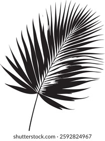 A stunning single palm leaf silhouette, symbolizing tropical beauty and serenity. This elegant design brings a refreshing, nature-inspired vibe.