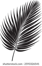  A stunning single palm leaf silhouette, symbolizing tropical beauty and serenity. This elegant design brings a refreshing, nature-inspired vibe.