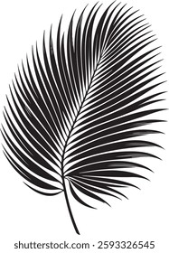  A stunning single palm leaf silhouette, symbolizing tropical beauty and serenity. This elegant design brings a refreshing, nature-inspired vibe.