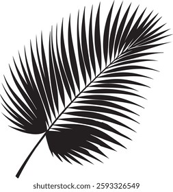  A stunning single palm leaf silhouette, symbolizing tropical beauty and serenity. This elegant design brings a refreshing, nature-inspired vibe.