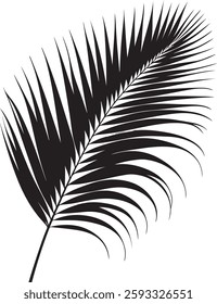  A stunning single palm leaf silhouette, symbolizing tropical beauty and serenity. This elegant design brings a refreshing, nature-inspired vibe.