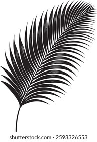  A stunning single palm leaf silhouette, symbolizing tropical beauty and serenity. This elegant design brings a refreshing, nature-inspired vibe.