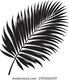  A stunning single palm leaf silhouette, symbolizing tropical beauty and serenity. This elegant design brings a refreshing, nature-inspired vibe.