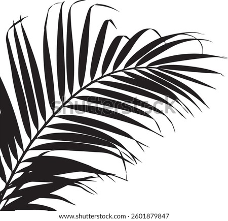 A stunning single palm leaf silhouette, symbolizing tropical beauty and serenity. This elegant design brings a refreshing, nature-inspired vibe.