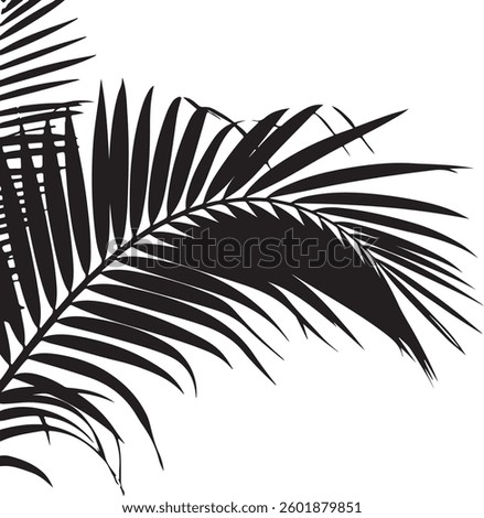 A stunning single palm leaf silhouette, symbolizing tropical beauty and serenity. This elegant design brings a refreshing, nature-inspired vibe.
