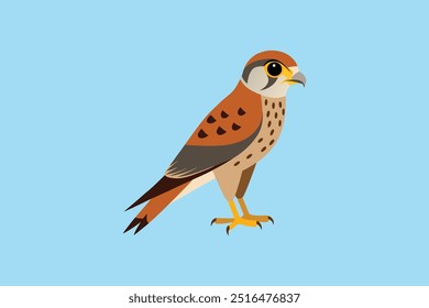 A stunning vector artwork of an American Kestrel bird, featuring intricate details of its vibrant feathers and sharp features, ideal for nature-themed projects, wildlife enthusiasts, and design lovers