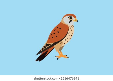 A stunning vector artwork of an American Kestrel bird, featuring intricate details of its vibrant feathers and sharp features, ideal for nature-themed projects, wildlife enthusiasts, and design lovers