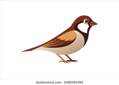 A stunning vector artwork illustration featuring a beautiful sparrow bird.