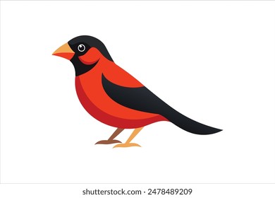 Stunning vector artwork illustration of a Grosbeak bird, capturing its vibrant colors and distinctive features in exquisite detail. Perfect for nature enthusiasts and design projects alike.