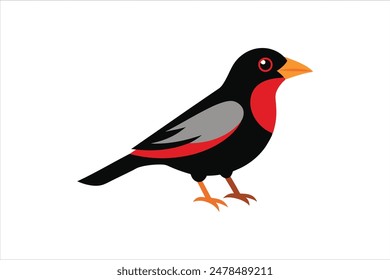 Stunning vector artwork illustration of a Grosbeak bird, capturing its vibrant colors and distinctive features in exquisite detail. Perfect for nature enthusiasts and design projects alike.