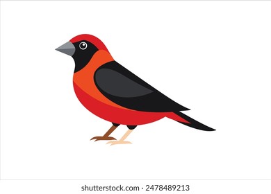 Stunning vector artwork illustration of a Grosbeak bird, capturing its vibrant colors and distinctive features in exquisite detail. Perfect for nature enthusiasts and design projects alike.