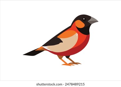 Stunning vector artwork illustration of a Grosbeak bird, capturing its vibrant colors and distinctive features in exquisite detail. Perfect for nature enthusiasts and design projects alike.