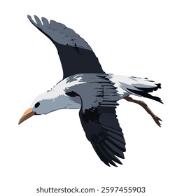 A stunning vector illustration of an albatross bird, capturing its elegance and grace in flight. Ideal for digital and print projects such as branding, posters, greeting cards, and more. 