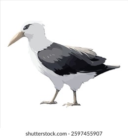 A stunning vector illustration of an albatross bird, capturing its elegance and grace in flight. Ideal for digital and print projects such as branding, posters, greeting cards, and more. 