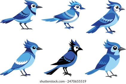 Stunning vector illustration of a blue jay, capturing the bird's vibrant colors and graceful presence. Perfect for bird enthusiasts, nature-inspired designs, and wildlife art project