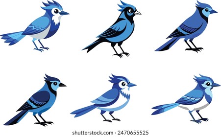 Atemberaubende Vektorillustration eines blauen Eichelhäher, der die lebendigen Farben und die anmutige Präsenz des Vogels einfängt. Perfekt für Vogelliebhaber, von der Natur inspirierte Designs und Wildtierkunstprojekte