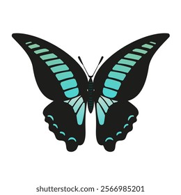 A stunning vector illustration of the Butterfly Graphium sarpedon, blue wings. This artwork highlights the intricate patterns and delicate beauty of this species, perfect for nature enthusiasts.