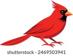 Stunning vector illustration of a cardinal bird, perfect for nature and wildlife art enthusiasts. vibrant design ideal for prints and digital use 