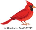 Stunning vector illustration of a cardinal bird, perfect for nature and wildlife art enthusiasts. vibrant design ideal for prints and digital use 