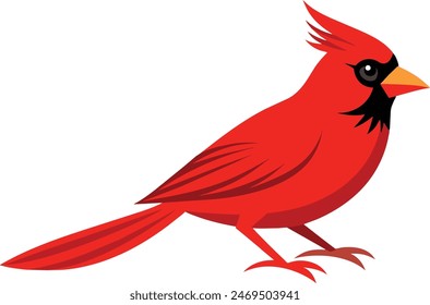 Stunning vector illustration of a cardinal bird, perfect for nature and wildlife art enthusiasts. vibrant design ideal for prints and digital use 