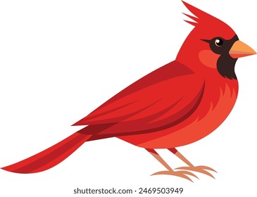 Stunning vector illustration of a cardinal bird, perfect for nature and wildlife art enthusiasts. vibrant design ideal for prints and digital use 