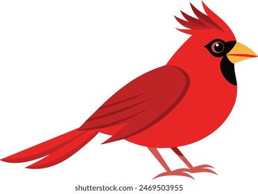 Stunning vector illustration of a cardinal bird, perfect for nature and wildlife art enthusiasts. vibrant design ideal for prints and digital use 