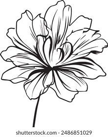 A stunning vector illustration of a flower