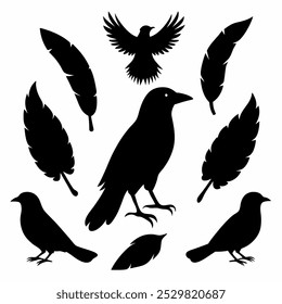 A stunning vector silhouette set featuring crows, ravens, birds, and feathers. Perfect for dark, spooky designs, nature themes, or decorative artwork in minimalist and gothic styles.