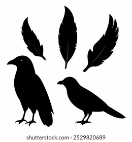 A stunning vector silhouette set featuring crows, ravens, birds, and feathers. Perfect for dark, spooky designs, nature themes, or decorative artwork in minimalist and gothic styles.