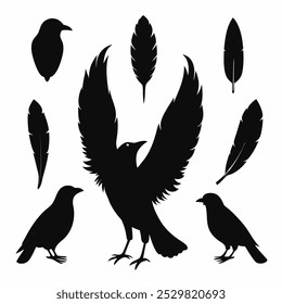 A stunning vector silhouette set featuring crows, ravens, birds, and feathers. Perfect for dark, spooky designs, nature themes, or decorative artwork in minimalist and gothic styles.