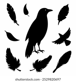 A stunning vector silhouette set featuring crows, ravens, birds, and feathers. Perfect for dark, spooky designs, nature themes, or decorative artwork in minimalist and gothic styles.