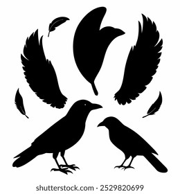 A stunning vector silhouette set featuring crows, ravens, birds, and feathers. Perfect for dark, spooky designs, nature themes, or decorative artwork in minimalist and gothic styles.