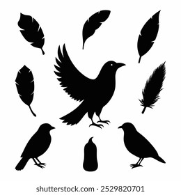 A stunning vector silhouette set featuring crows, ravens, birds, and feathers. Perfect for dark, spooky designs, nature themes, or decorative artwork in minimalist and gothic styles.