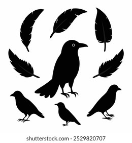 A stunning vector silhouette set featuring crows, ravens, birds, and feathers. Perfect for dark, spooky designs, nature themes, or decorative artwork in minimalist and gothic styles.