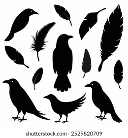 A stunning vector silhouette set featuring crows, ravens, birds, and feathers. Perfect for dark, spooky designs, nature themes, or decorative artwork in minimalist and gothic styles.