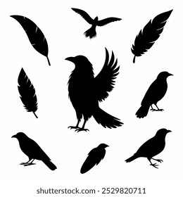 A stunning vector silhouette set featuring crows, ravens, birds, and feathers. Perfect for dark, spooky designs, nature themes, or decorative artwork in minimalist and gothic styles.