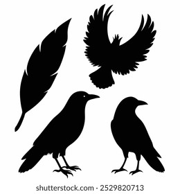 A stunning vector silhouette set featuring crows, ravens, birds, and feathers. Perfect for dark, spooky designs, nature themes, or decorative artwork in minimalist and gothic styles.