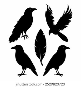 A stunning vector silhouette set featuring crows, ravens, birds, and feathers. Perfect for dark, spooky designs, nature themes, or decorative artwork in minimalist and gothic styles.