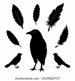 A stunning vector silhouette set featuring crows, ravens, birds, and feathers. Perfect for dark, spooky designs, nature themes, or decorative artwork in minimalist and gothic styles.