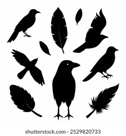 A stunning vector silhouette set featuring crows, ravens, birds, and feathers. Perfect for dark, spooky designs, nature themes, or decorative artwork in minimalist and gothic styles.