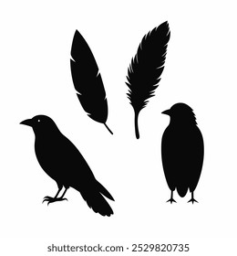 A stunning vector silhouette set featuring crows, ravens, birds, and feathers. Perfect for dark, spooky designs, nature themes, or decorative artwork in minimalist and gothic styles.